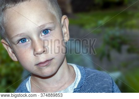 A Portrait Of A Handsome Boy Of 4-5 Years Old With Blue Eyes And A Serious Face In The Garden. A Tho