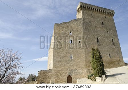 rovine del castello a Chateauneuf du Pape