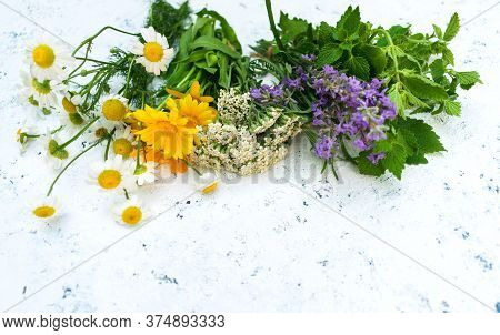 Healing Herbs And Flowers On A White Flne. Vibro Focus. Copy Space.