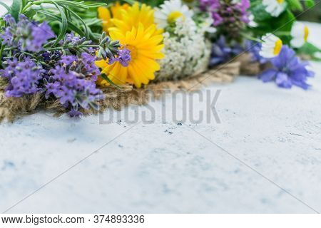 Healing Herbs And Flowers On A White Flne. Vibro Focus. Copy Space.