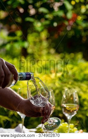 Pouring Of Pinot Gridgio Rose Wine For Tasting In Winery Garden In Veneto, Italy. Glasses Of Cold Dr