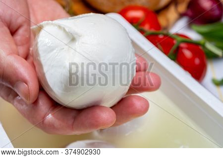 Cheese Maker Holding In Hand Fresh Soft Italian Cheese From Campania, White Balls Of Buffalo Mozzare
