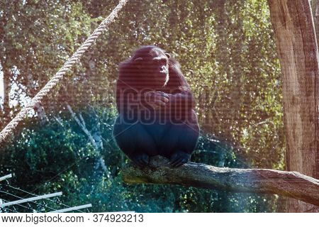 The Safari In The Royal Court Is A Unique Place In The Czech Republic
