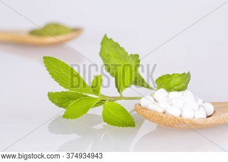 Natural Sweetener In Pills Of Stevia Plant - Stevia Rebaudiana.