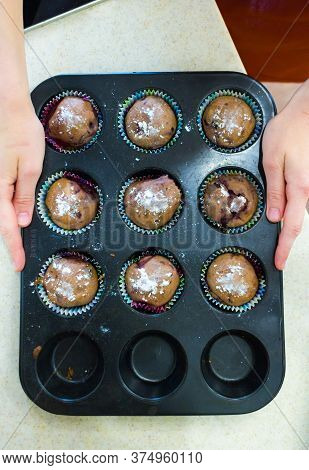 Grease-proof Baking Muffin, Cupcake Cases Various Vibrant Colors.