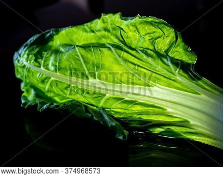 Chard Leaf.