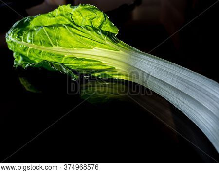 Chard Leaf.