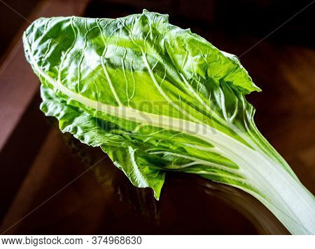 Chard Leaf.