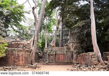 Giant trees on ruins of Ta Prohm temple, khmer ancient complex Angkor Wat (Angkor Thom), Siem reap, Cambodia, Indochina. UNESCO world heritage Site