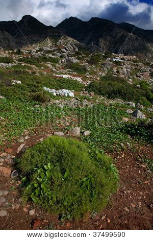 Rif Dağları manzara, Fas, Afrika