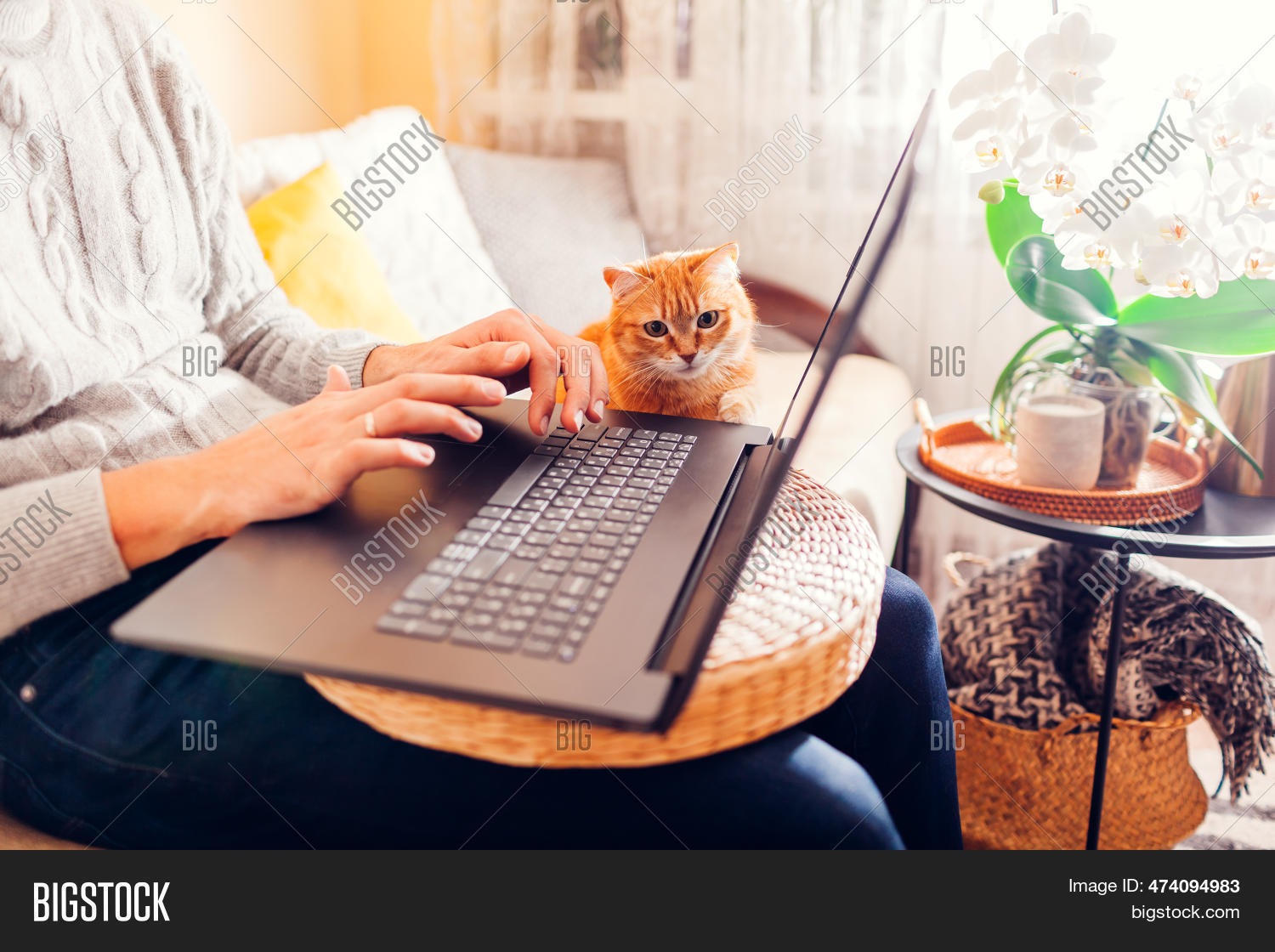 Image Preview