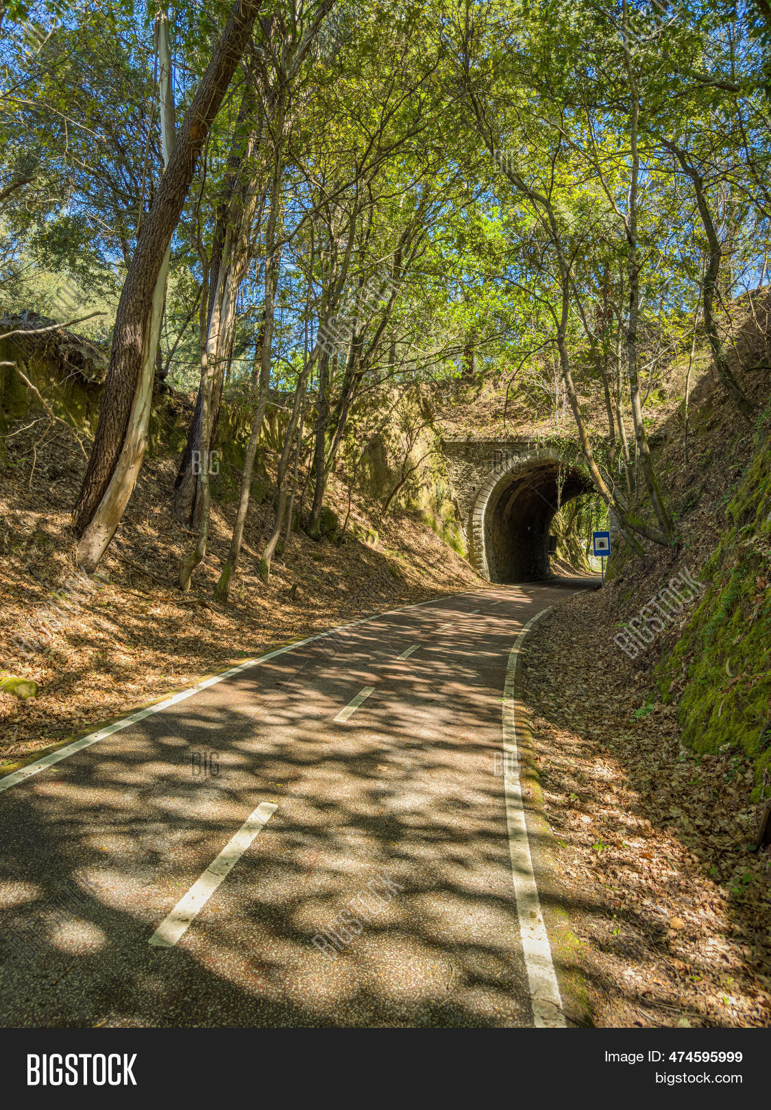 Ecopista Do Vouga. Old Image & Photo (Free Trial) | Bigstock