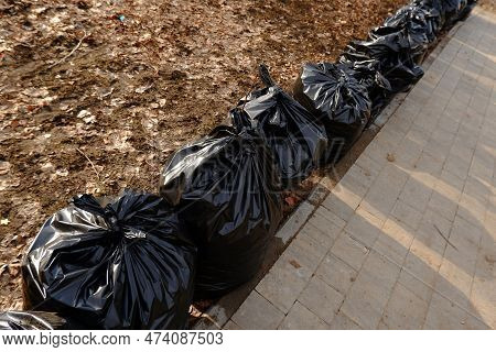 Black Plastic Bags Filled With Organic Dry Garden Waste, Dry Leaves Stand Along The Sidewalk.cleanin