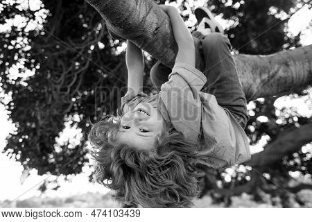 Kids Climbing Trees, Hanging Upside Down On A Tree In A Park. Child Protection.
