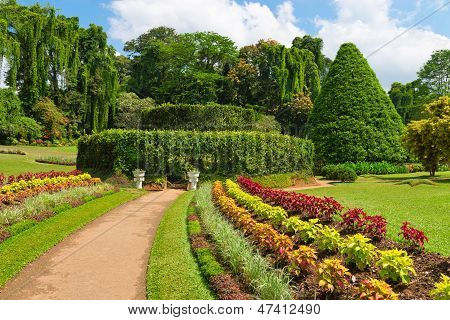 สวนพฤกษศาสตร์เขตร้อนสวยงาม