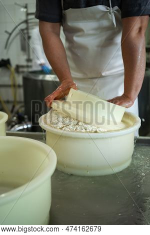 Close-up Of A Man Cheese Maker Forming Cheese Into The Plastic Molds At The Milk Producing