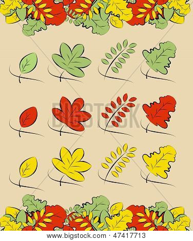 Summer And Autumn Leaves