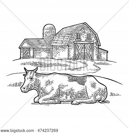 Organic Farm And Cow Free Range. Vintage Vector Engraving Illustration