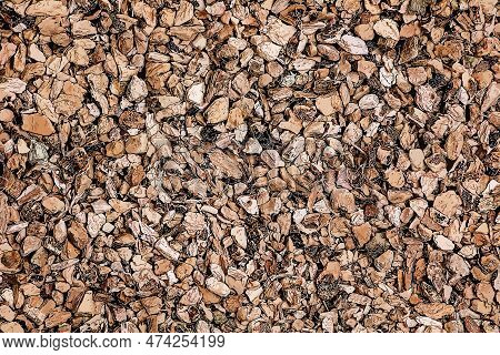 Illustration Of Background Of Organic Dry Calamus Root. The Latin Name Is Acorus Calamus. Close-up O