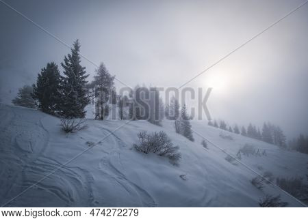 Skiing In Italy, Dolomites, Madonna Di Campiglio, Pinzolo. Cloudy Winter Day In January 2023