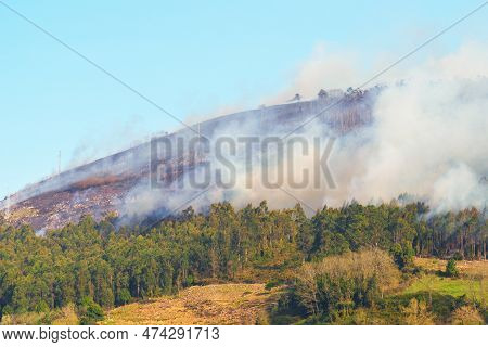 Wildfire, Brushfire In Woodland On A Montaine Hill. Spain Forest Fire In Daytime. Natural Disaster I