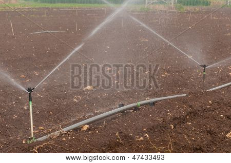 Soil Irrigation
