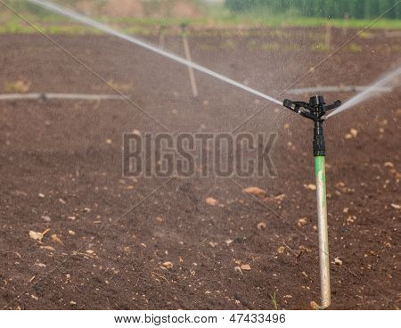 Sprinkler Irrigation System Close-up