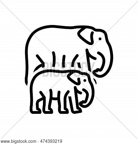Black Line Icon For Breed Phylum Species Reproduce Procreate Elephant Wildlife Animal Domestic Baby