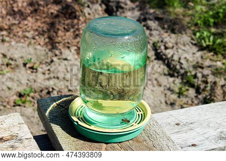 Homemade Drinkers For Bees From Cans In The Apiary In Ukraine. Honey Is A Beekeeping Product.