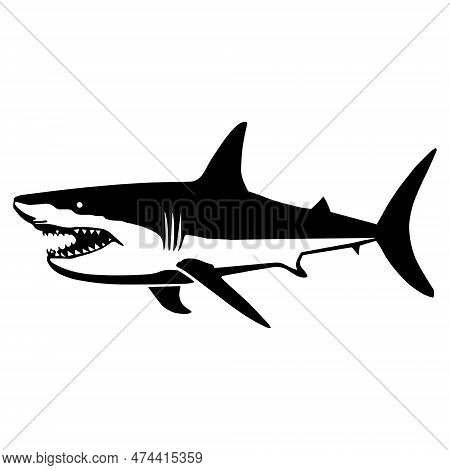 Illustration Of Angry Shark In Drawing Stencil Style.