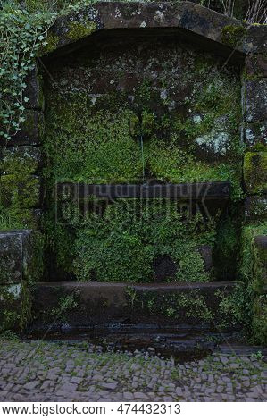 Stone Structure Nestled Among The Trees In A Lush Forest, Covered In Thick Moss