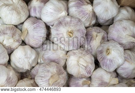 Close-up Of Garlic (allium Sativum), Thai Medicinal Plant, And Spice With Round-shaped, Petals Wrapp
