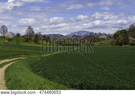 Rural Landscape In Brianza Near Usmate And Lomagna