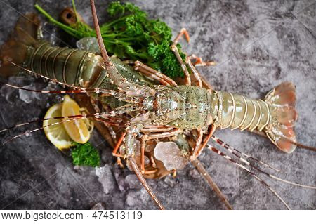 Spiny Lobster Seafood On Ice, Fresh Lobster Or Rock Lobster With Herb And Spices Lemon Coriander Par