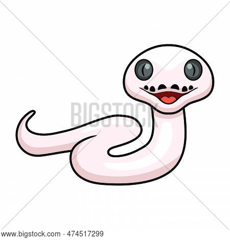 Vector Illustration Of Cute Black Eyed Leucistic Reticulatus Python Cartoon