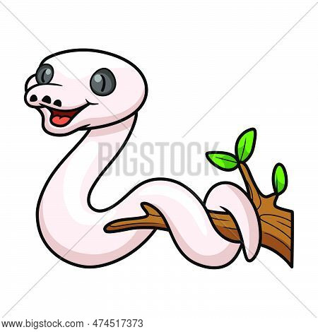 Vector Illustration Of Cute Black Eyed Leucistic Reticulatus Python Cartoon On Tree Branch