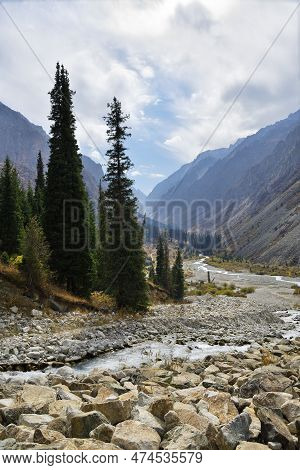 Ak Sai Valley Autumn Landscape. River, Stone Run, Tian Shan Fir Trees And View On High Snow Covered 