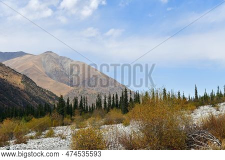 Ak Sai Valley Autumn Landscape. Stone Run, Tian Shan Fir Trees And View On High Snow Covered Peaks O