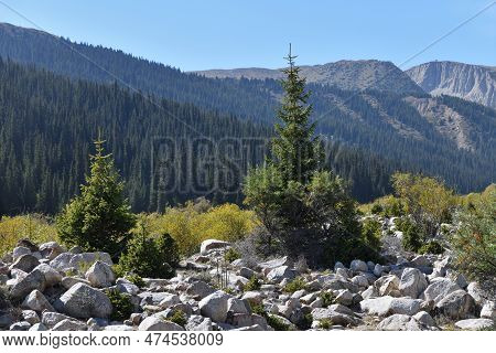 Grigorievskoe Gorge Landscape. Kyrgyzstan
