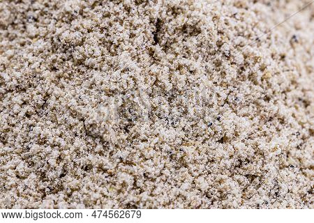 Indoleacetic Acid Is An Auxin, A Growth Hormone That Promotes Differential Cell Elongation And Funct