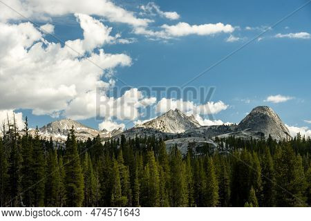 Pine Trees Below Granite Fairview Dome In Yosemite National Park