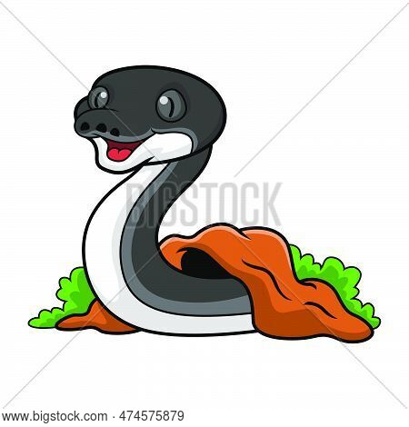 Vector Illustration Of Cute Albertisi Snake Cartoon Out From Hole