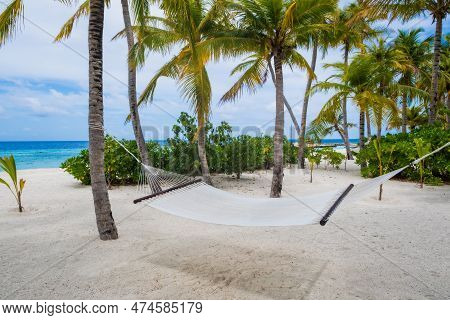 Empty Hammock Between Palm Trees On Tropical Beach. Crossroads Maldives, Saii Lagoon. July 2021