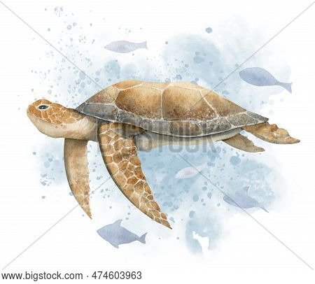 Sea Turtle With Fishes And Watercolor Splash. Hand Drawn Watercolor Illustration Of Underwater Torto