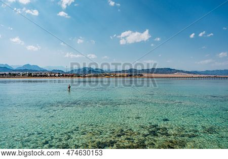 Beautiful Coral Reefs On The Coast Of The Red Sea In Sharm El Sheikh, Egypt.