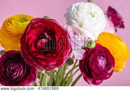 Floral Arrangments Of Tender Ranunculus Flowers