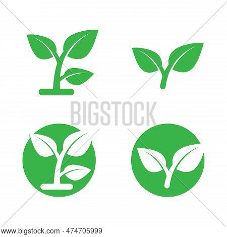 Tree Logo Icon Vector Illustration Design.vector Silhouette Of A Tree Templates Of Tree Logo And Roo