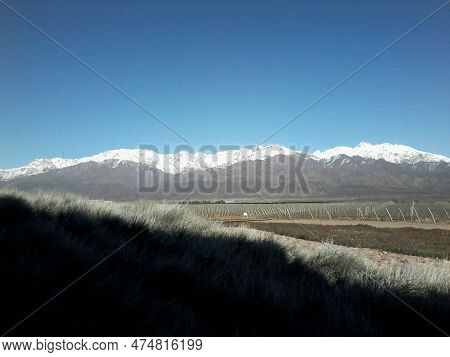 Vista De La Cordillera Desde La Bodega.