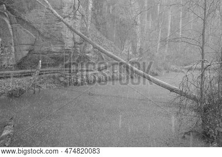 Peklo, Czechia - March 25, 2023: Spring Pouring Rain By Robecsky Potok Stream