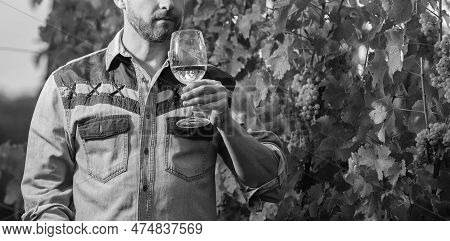 Cropped Enologist With Wineglass. Sommelier. Farmer Drink Wine. Cheers. Vinedresser Drinking.